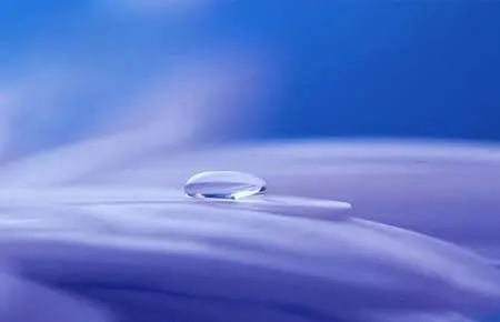 Funzioni della Coscienza