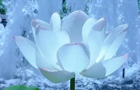 Identificazione di Coscenza